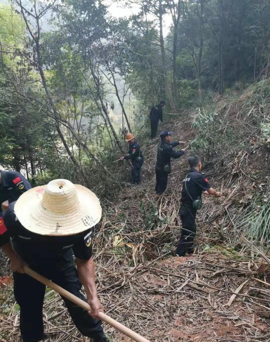 干好每一天|青山掛白我復(fù)綠，無私奉獻(xiàn)金森人——資源保護(hù)部義務(wù)突擊隊(duì)工作記實(shí)