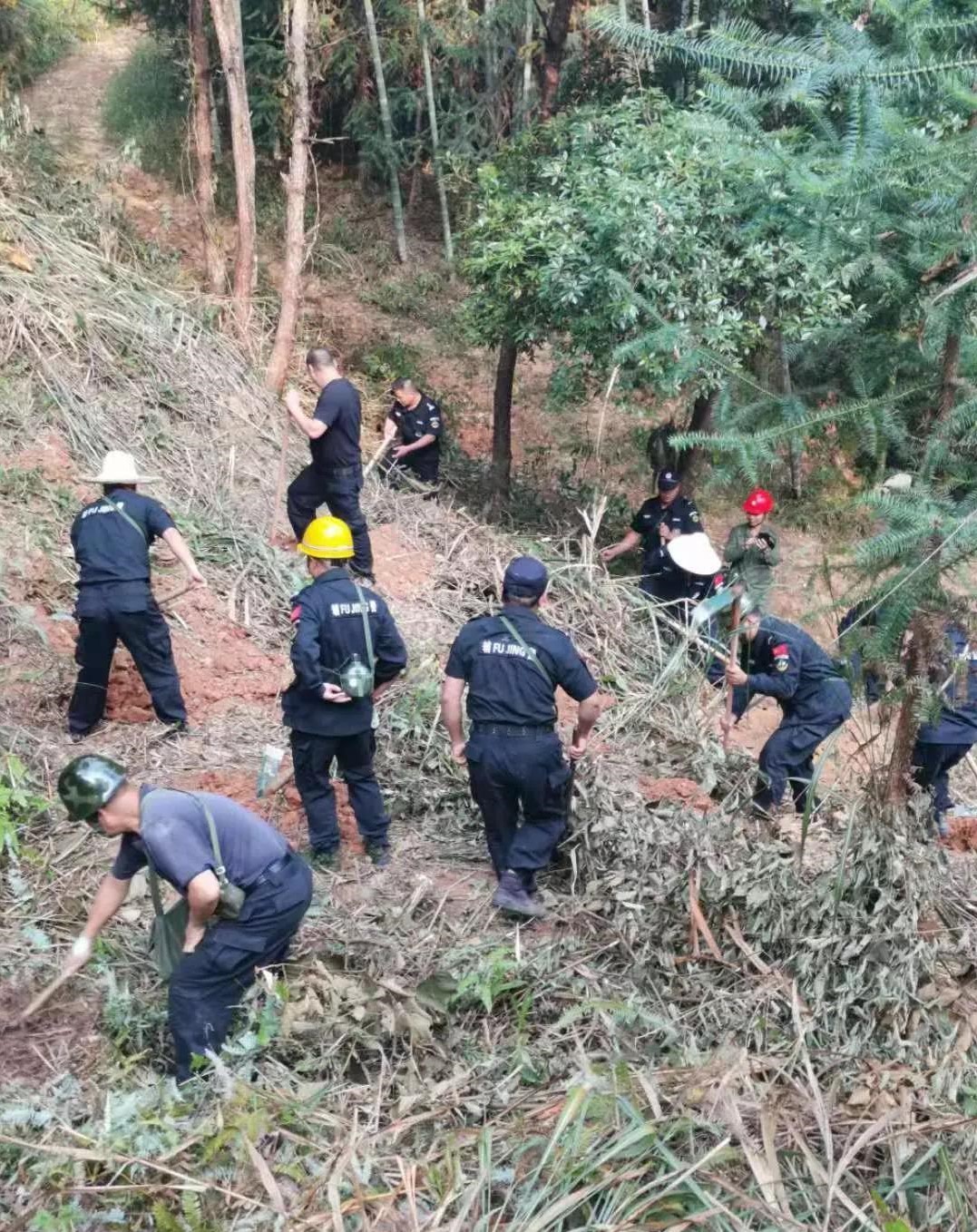 干好每一天|青山掛白我復(fù)綠，無私奉獻(xiàn)金森人——資源保護(hù)部義務(wù)突擊隊(duì)工作記實(shí)